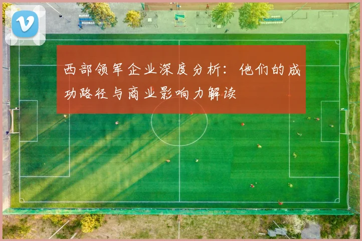 西部领军企业深度分析：他们的成功路径与商业影响力解读